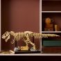 LEGO® - Jurassic World™ 76968 恐龍化石：暴龍 (侏羅紀世界,恐龍,居家擺設,玩具模型)