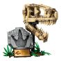 LEGO® - 侏羅紀世界 Dinosaur Fossils: T. rex Skull