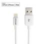First Champion Lightning USB 充電傳輸線 - LT-D20 - 100cm