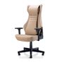 [預購] OSIM - 按摩電腦椅 送額外電池一件 (預計送貨期為11月中旬)