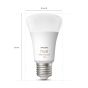 Philips - Hue 氛圍藍牙燈泡入門套件 11W A60 E27 (彩光)