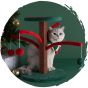 zeze - 聖誕吊球抓柱貓抓板劍麻貓抓柱耐磨貓跳台