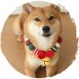 毛孩物語 - 寵物聖誕裝飾衣服狗狗貓咪頸帶圍兜(紅色波浪聖誕) (大碼)