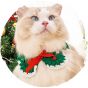 毛孩物語 - 寵物聖誕升級裝飾衣服狗狗貓咪頸帶圍兜(白色聖誕老人圍兜) (大碼)