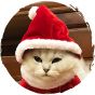 Petio - 聖誕節寵物帽貓咪狗仔帽子 (聖誕帽)