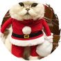 Petio - 聖誕節寵物帽貓咪狗仔聖誕老人裝扮衫褲 (男仔)