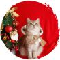 毛孩物語 - 啡色聖誕鹿寵物衣服可愛貓咪披風斗篷 (大碼)