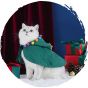 毛孩物語 - 聖誕魔法冬季寵物衣服可愛貓咪披風斗篷 (大碼)