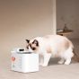 Petkit - EverSweet Max 2 UVC Pet Water Fountain