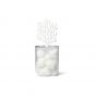 QUALY - 珊瑚透明容器-珊瑚白色 QL10336-CL-WH