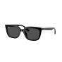 Ray Ban 男女通用太陽眼鏡(RB4439D-901/87)