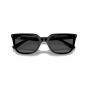 Ray Ban 男女通用太陽眼鏡(RB4439D-901/87)