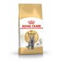 Royal Canin - FBN British Shorthair Adult Cat Food(4kg) 
