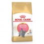 Royal Canin - FBN 英國短毛幼貓專屬配方 (2kg)貓糧 RC-BRITS-KIT