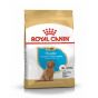 Royal Canin - BHN 貴婦狗幼犬專屬配方(3kg) RC-Dog-PP-Pood_30