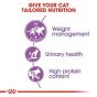 Royal Canin - FHN 絕育成貓營養配方 (2kg / 4kg / 10kg)