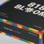 (現場取貨)【GD × OXFORD】818 Bloom 小雛菊積木限定禮盒 RL-GD-FlowerLego