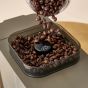 KRUPS - SA403BM0 Coffee Crush Experience 全自動咖啡機