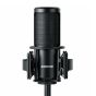 Shure - 舒爾 SM4-K Kit 家庭錄音麥克風套裝｜套裝包含收納包 + 防震架 + pop filter