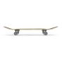 Enuff Skateboards - Skully 7.75” Complete 入門塗鴉滑板 - 黑色