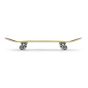 Enuff Skateboards - Skully 7.75” Complete 入門塗鴉滑板 - 綠色