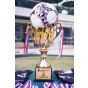 The Club會員尊享：香港救助兒童會 - Inspire Cup HK$500 入場慈善門劵(“獎賞”) 