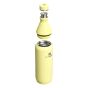 Stanley All Day Slim Bottle 20oz (柚子粉 亮面)