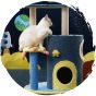 Pets Thing - 太空漫遊劍麻貓爬架貓爬架 (4層款 120cm)