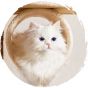 Pets Thing - 挪威風多貓大型劍麻貓抓柱貓別墅跳台 (大型5層款｜126cm)