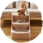 Pets Thing - 可折疊防滑寵物窗台梳化狗狗樓梯 (3級｜38cm高）