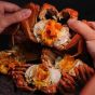 肯尼海鮮 - 江蘇大閘蟹 3两【公】(1隻) YK-26Crab-CMB
