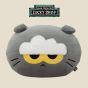 ZO&FRIENDS - ZOA CUSHION 大抱枕 ZNF3RD007